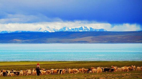 成都自驾到西藏沿途风景